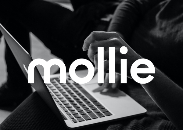 dekodi - Mollie - Payment Solution - Buchhaltung